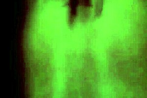 wanna see what my shemale friend lupe can do to you?