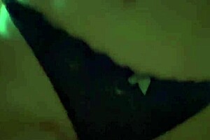 cogiendo con cita del tinder hasta squirt masivo 🌊🍑