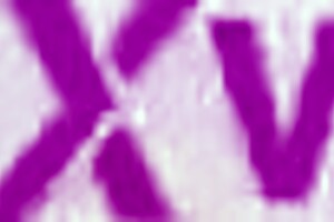 First Huge Black Cock Anal Fisting Destroys Joana's Ass with Toys and Pee!