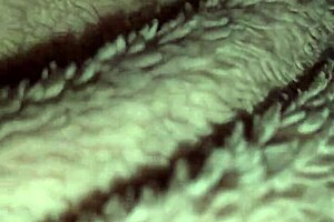 watch her fingers plunge deep into wet pussy for explosive solo masturbation climax!