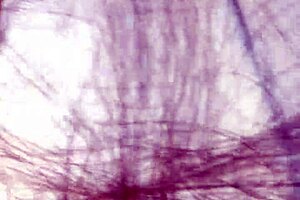 curvy indian babe fucked hard by boss in kitchen