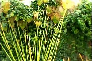 Busty teen tits bounce wildly outdoors