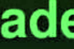 slim japanese-brazilian ob honey fucked by 6 huge cocks gapes