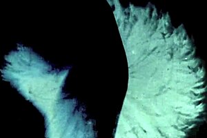 dark london home life unfolds in vintage taboo style memories