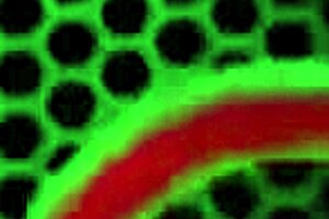 Sara Jay Strips Teasingly and Touches Herself Intensely