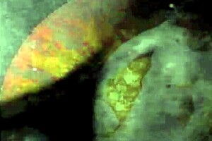 Vintage Erotic Art Showcases Retro Hairy Beauties