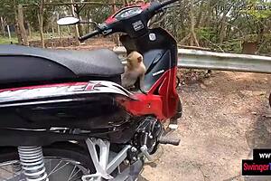 Amateur Asian Teen Feels Intense Passion Fucking Her Big Dick European Boyfriend