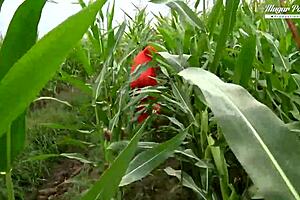 escaped prisoner pounds blondes' tight pussies in hardcore 3some orgy