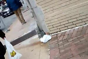 imagine that phat ass shaking wildly in bmore style