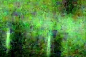 the hot wife bends over craving deep anal penetration from behind