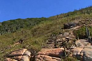 whoa three random guys pound blonde hard on beach 🌊🍑💦