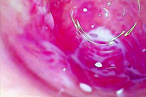 😲 whoa pussy roller coaster rides glass dildo deep juicy tight hole wild! 🎢💦