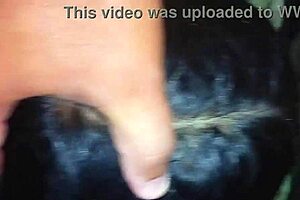 Hey Can I Pound This Hot Latina In Doggystyle Pov?