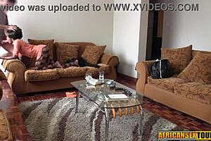 perfect ebony teen rides antonio benderass monster cock hard