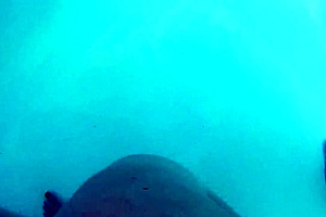 karina moans begging lucas and stud for poolside mmf threesome