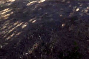 married bride teases with her eager oral skills