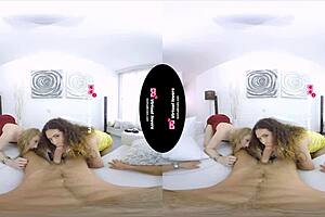 guy hires two sexy shemales to pound him senseless