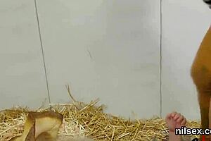 Nasty Teen Assfucked In Bizarre Anal Therapy Asylum!