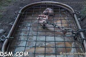 Hey beauty open your fuck holes for my hard cock now