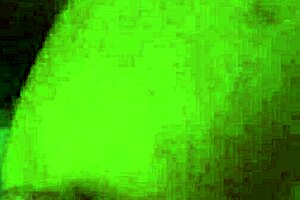 she drops to her knees for a sloppy blowjob flaunting her big tattooed ass