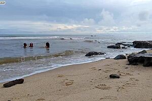 climbing two babes bouncing big tits sucking my cum