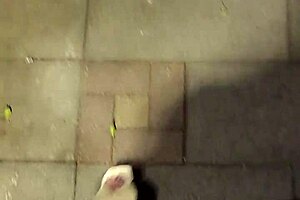 ting xuan teases with butt plug on public walk to climax