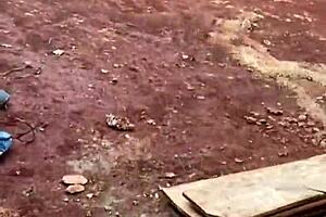 Novinha Ditches School for Outdoor Anal with Brazilian Pedreiro in Lingerie