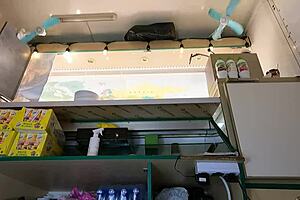 pretty office slut in skirt flashes shaved pussy unaware of hidden voyeur cam