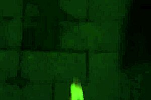 ting xuan teases with butt plug on public walk to climax