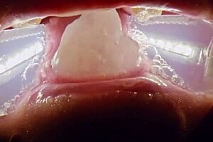 deranged rebel rhyder drowns in frozen cum bukkake