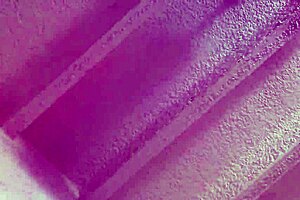 rough reverse missionary interracial creampie with big tits latina wife 😩💦 dropped the cam tho