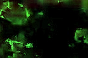 Vintage erotic scenes capture timeless sensual art