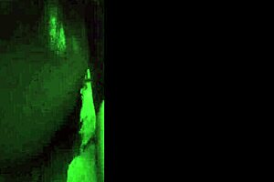 check out my big tits bouncing while i strut public streets