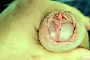 wanna see all this precum dripping from my edging monster cock daddy?