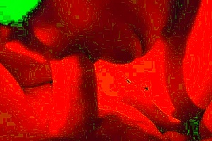 my bbw loves sucking cock while jacking me off