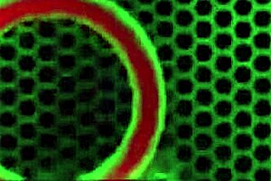 passionate lesbian kiss session with jessica jaymes