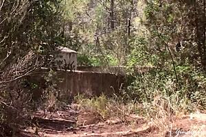 Blonde Teen's Wild Ibiza Adventure