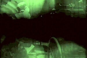 vintage drawings capture erotic hairy beaver vibes