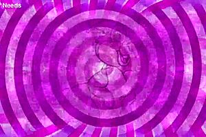 Sissy hypno tease commands desperate bounce jerk off under femdom control