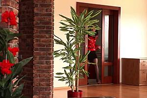 kate gold, you gotta see her swallow cum after dp ass and pussy pounding!