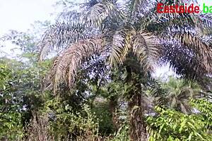 she begs for her big fat ebony pussy to get fucked hard from the front doggystyle